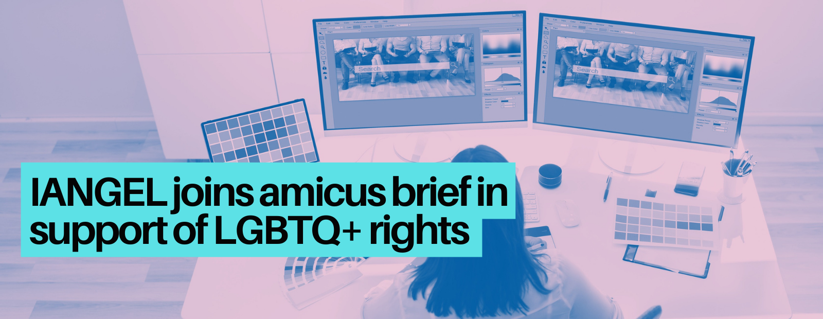 Iangel Joins Amicus Brief In Support Of Lgbtq Rights International Action Network For Gender